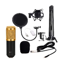 Professional Condenser Microphone